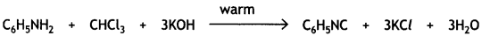 Class 12 Chemistry Important Questions Chapter 13 Amines 33
