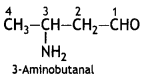 Class 12 Chemistry Important Questions Chapter 13 Amines 4