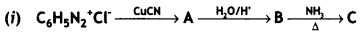 Class 12 Chemistry Important Questions Chapter 13 Amines 6