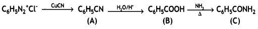 Class 12 Chemistry Important Questions Chapter 13 Amines 7