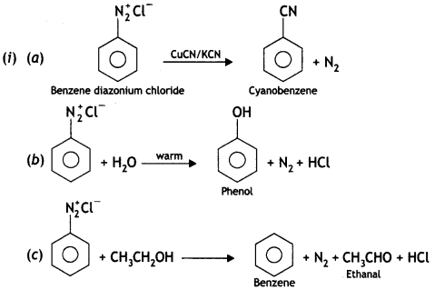 Class 12 Chemistry Important Questions Chapter 13 Amines 87