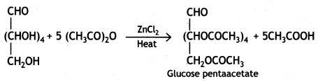 Class 12 Chemistry Important Questions Chapter 14 Biomolecules 10