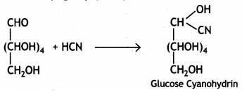 Class 12 Chemistry Important Questions Chapter 14 Biomolecules 11