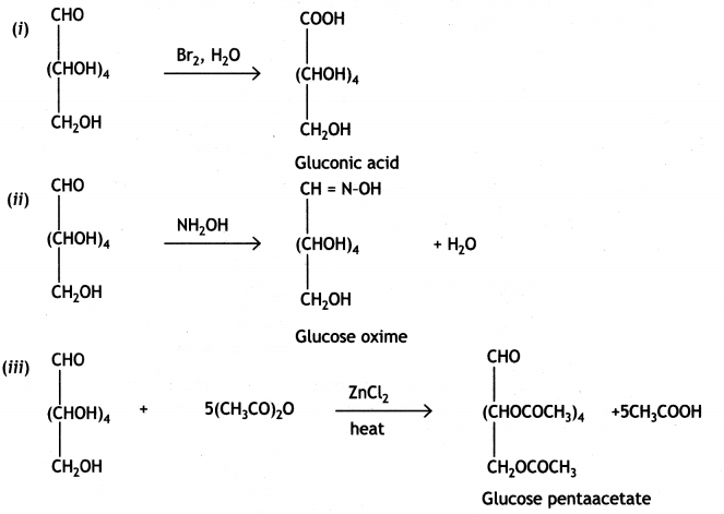 Class 12 Chemistry Important Questions Chapter 14 Biomolecules 13