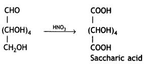 Class 12 Chemistry Important Questions Chapter 14 Biomolecules 23