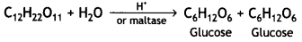 Class 12 Chemistry Important Questions Chapter 14 Biomolecules 5