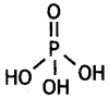 Class 12 Chemistry Important Questions Chapter 7 The p-Block Elements 2