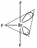 Class 12 Chemistry Important Questions Chapter 7 The p-Block Elements 50