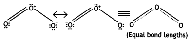 Class 12 Chemistry Important Questions Chapter 7 The p-Block Elements 6