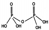 Class 12 Chemistry Important Questions Chapter 7 The p-Block Elements 77