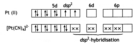 Class 12 Chemistry Important Questions Chapter 9 Coordination Compounds 1