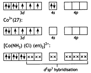 Class 12 Chemistry Important Questions Chapter 9 Coordination Compounds 17