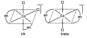 Class 12 Chemistry Important Questions Chapter 9 Coordination Compounds 19