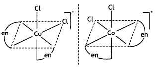 Class 12 Chemistry Important Questions Chapter 9 Coordination Compounds 20