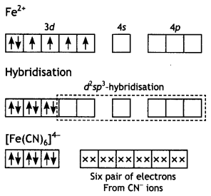 Class 12 Chemistry Important Questions Chapter 9 Coordination Compounds 23