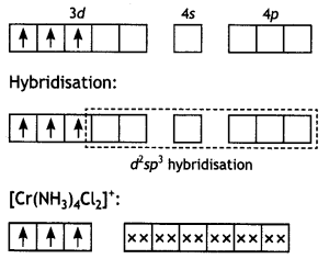 Class 12 Chemistry Important Questions Chapter 9 Coordination Compounds 24