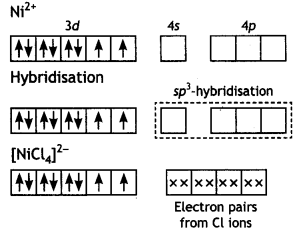 Class 12 Chemistry Important Questions Chapter 9 Coordination Compounds 25