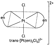 Class 12 Chemistry Important Questions Chapter 9 Coordination Compounds 6