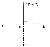 Class 12 Maths Important Questions Chapter 11 Three Dimensional Geometry 13