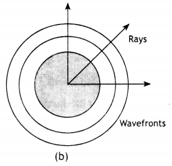 Class 12 Physics Important Questions Chapter 10 Wave Optics 19