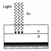 Class 12 Physics Important Questions Chapter 14 Semiconductor Electronics 38