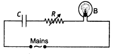 Class 12 Physics Important Questions Chapter 7 Alternating Current 25