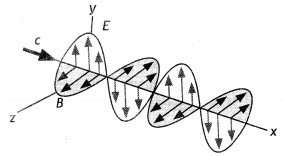 Class 12 Physics Important Questions Chapter 8 Electromagnetic Waves 1