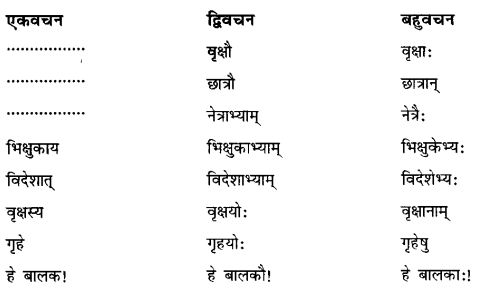 Class 6 Sanskrit Grammar Book Solutions अनुवाद विधिः 2