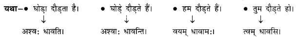 Class 6 Sanskrit Grammar Book Solutions अनुवाद विधिः 6