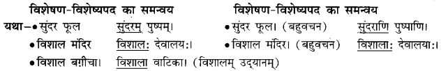 Class 6 Sanskrit Grammar Book Solutions अनुवाद विधिः 8