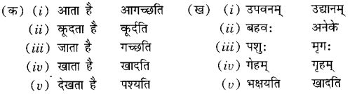 Class 6 Sanskrit Grammar Book Solutions अपठित गद्यांश 2