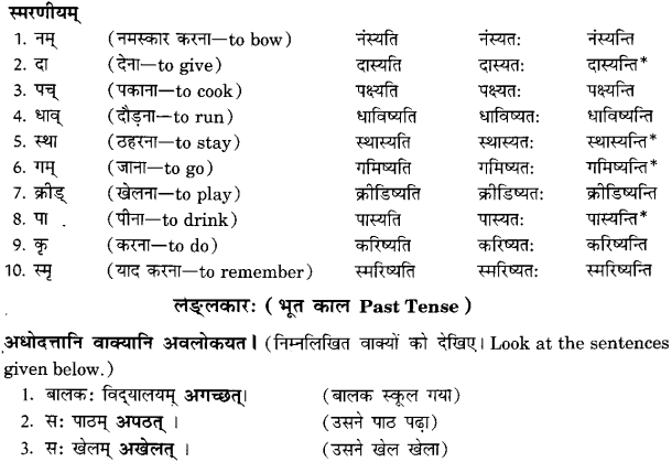 Class 6 Sanskrit Grammar Book Solutions क्रियापदानि तथा धातुरूपाणि 12