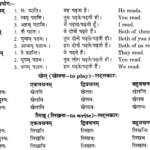 Class 6 Sanskrit Grammar Book Solutions क्रियापदानि तथा धातुरूपाणि 3