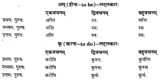 Class 6 Sanskrit Grammar Book Solutions क्रियापदानि तथा धातुरूपाणि 6