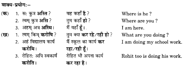 Class 6 Sanskrit Grammar Book Solutions क्रियापदानि तथा धातुरूपाणि 7