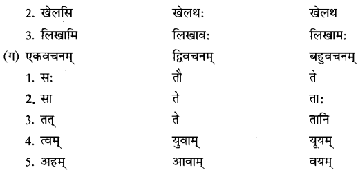 Class 6 Sanskrit Grammar Book Solutions लिङ्गम्, वचनम् तथा पुरुषः 2
