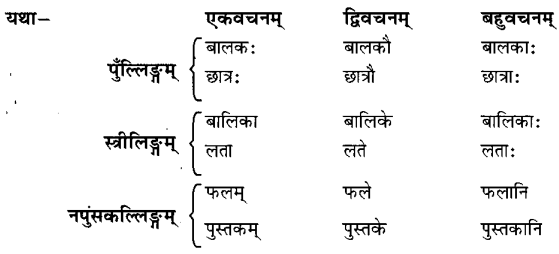 Class 6 Sanskrit Grammar Book Solutions लिङ्गम्, वचनम् तथा पुरुषः 3