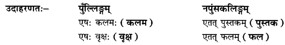 Class 6 Sanskrit Grammar Book Solutions लिङ्गम्, वचनम् तथा पुरुषः 5