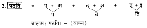 Class 6 Sanskrit Grammar Book Solutions वर्णमाला तथा वर्णविचारः 10
