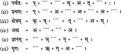 Class 6 Sanskrit Grammar Book Solutions वर्णमाला तथा वर्णविचारः 4