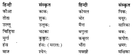 Class 6 Sanskrit Grammar Book Solutions व्यावहारिक शब्दकोश 2
