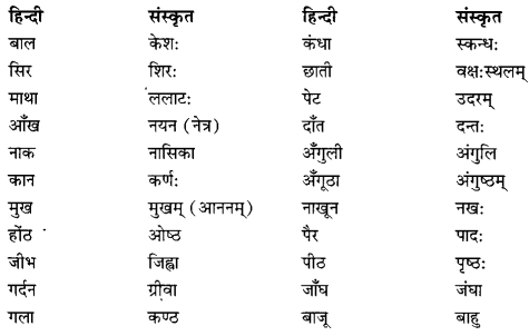 Class 6 Sanskrit Grammar Book Solutions व्यावहारिक शब्दकोश 6