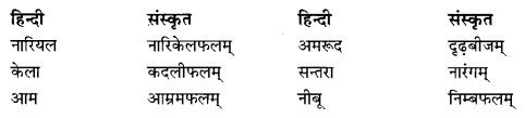 Class 6 Sanskrit Grammar Book Solutions व्यावहारिक शब्दकोश 7