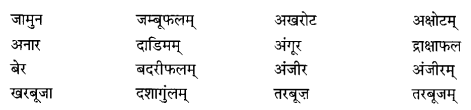 Class 6 Sanskrit Grammar Book Solutions व्यावहारिक शब्दकोश 8