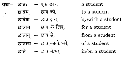 Class 6 Sanskrit Grammar Book Solutions संज्ञा शब्द-रूपाणि तथा वाक्यप्रयोगः 1