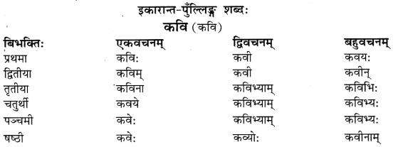 Class 6 Sanskrit Grammar Book Solutions संज्ञा शब्द-रूपाणि तथा वाक्यप्रयोगः 10