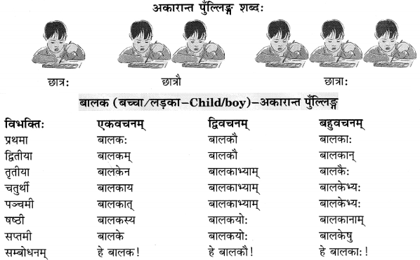 Class 6 Sanskrit Grammar Book Solutions संज्ञा शब्द-रूपाणि तथा वाक्यप्रयोगः 2