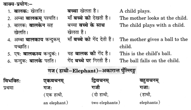 Class 6 Sanskrit Grammar Book Solutions संज्ञा शब्द-रूपाणि तथा वाक्यप्रयोगः 3