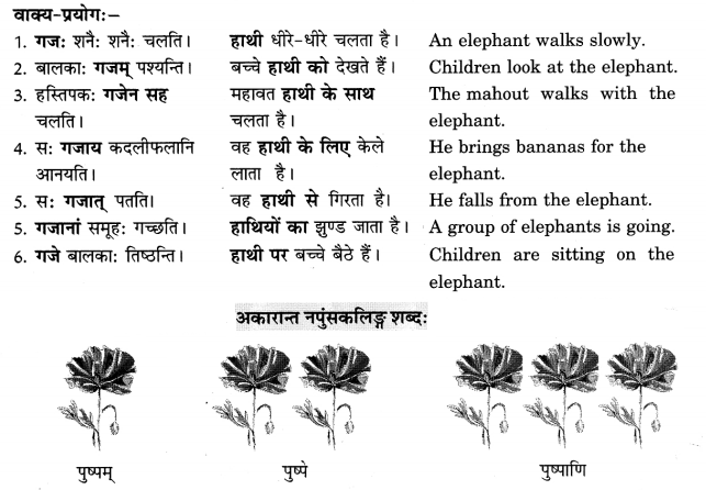 Class 6 Sanskrit Grammar Book Solutions संज्ञा शब्द-रूपाणि तथा वाक्यप्रयोगः 5