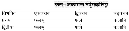 Class 6 Sanskrit Grammar Book Solutions संज्ञा शब्द-रूपाणि तथा वाक्यप्रयोगः 6